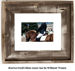 horse trail rides near me in Wilmer, Texas